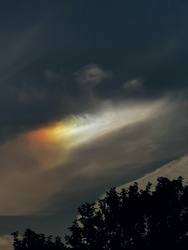 Melléknap (Napkutya) 