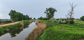 Sárvíz