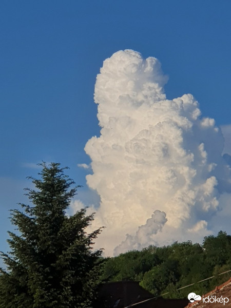 Észlelési fényképek