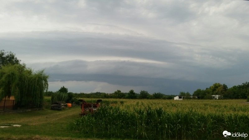 Észlelési fényképek