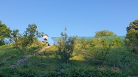 Kaposvár
