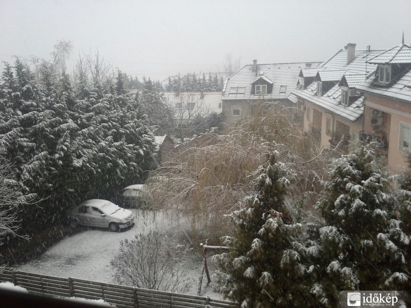 Észlelési fényképek