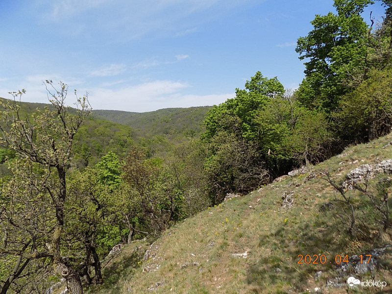 Sötéthorog, Bakony.