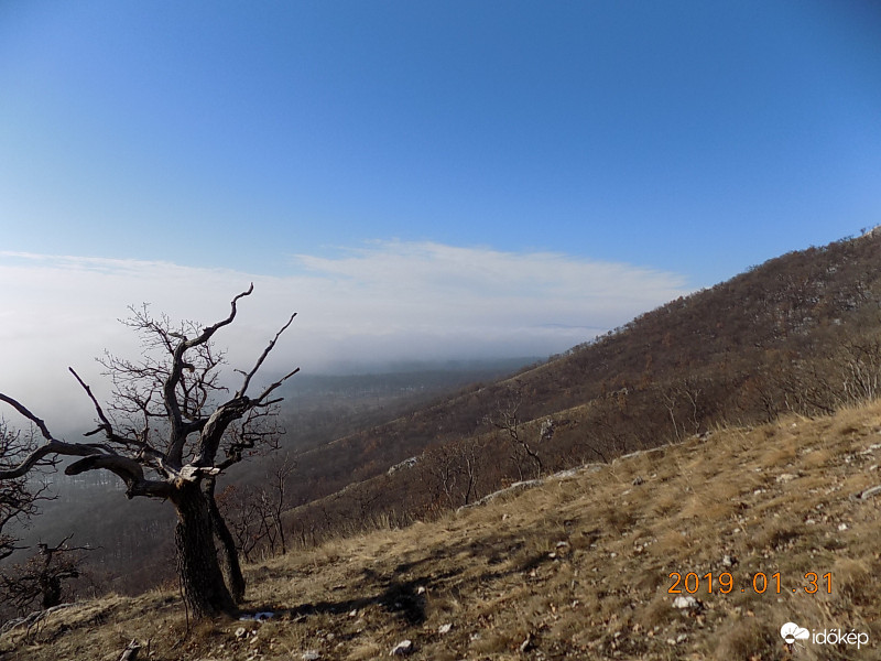 Hegyoldal haldoklóval.