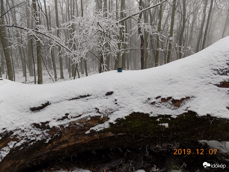 Havas, halott óriás.