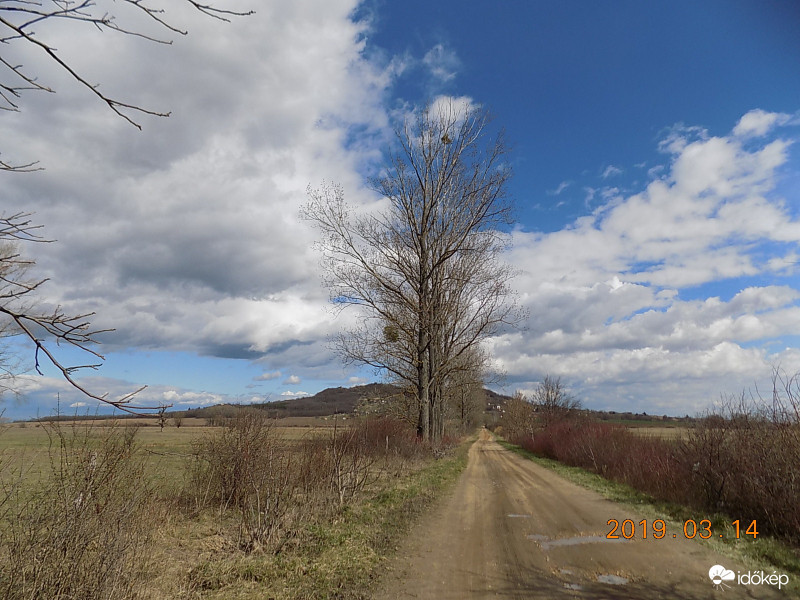Út a Ság-hegy felé.