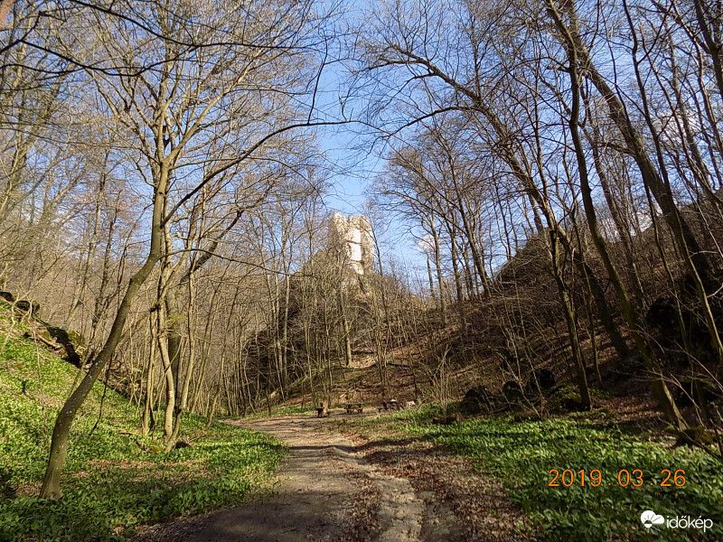 Bátorkő (Pusztapalota) némi medvehagymával.