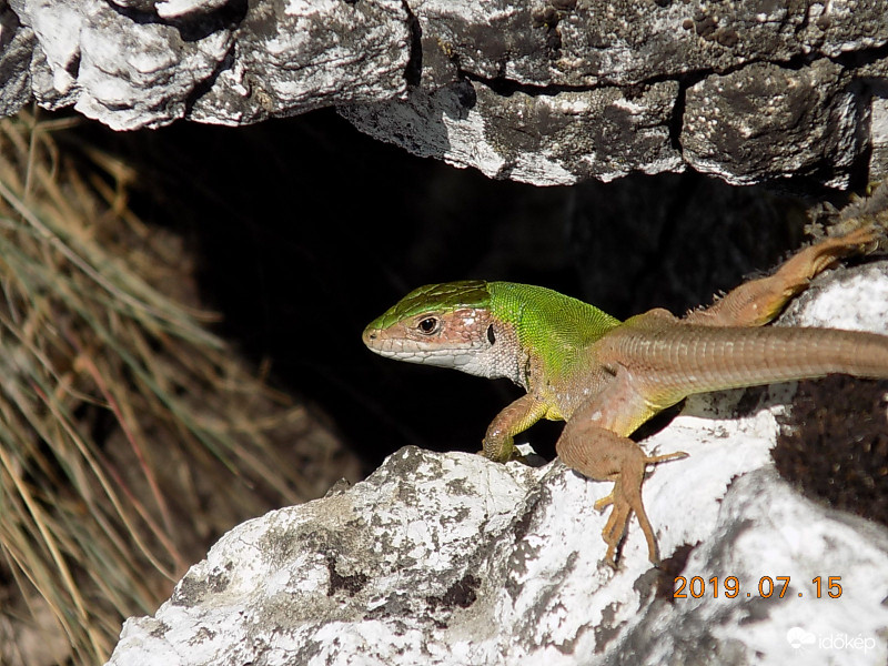 A sárkány barlangja.