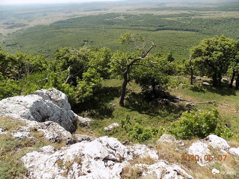 Bakonyi hegyoldal.