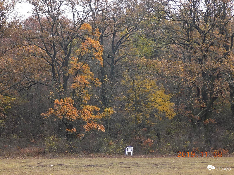 Kényelem mindenekfölött.