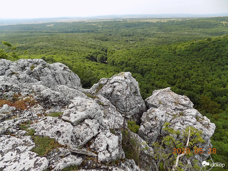 Zöld takaró a sziklák alatt.