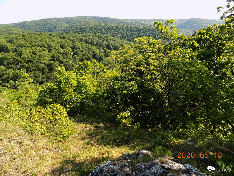 A Vár-völgy és a Várberek, Bakony.
