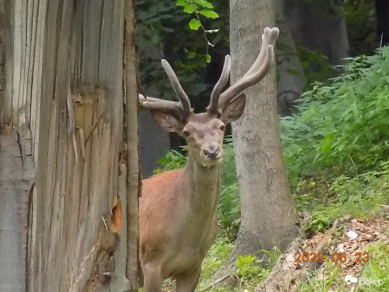 Méreget, felmér, morfondírozik. :)