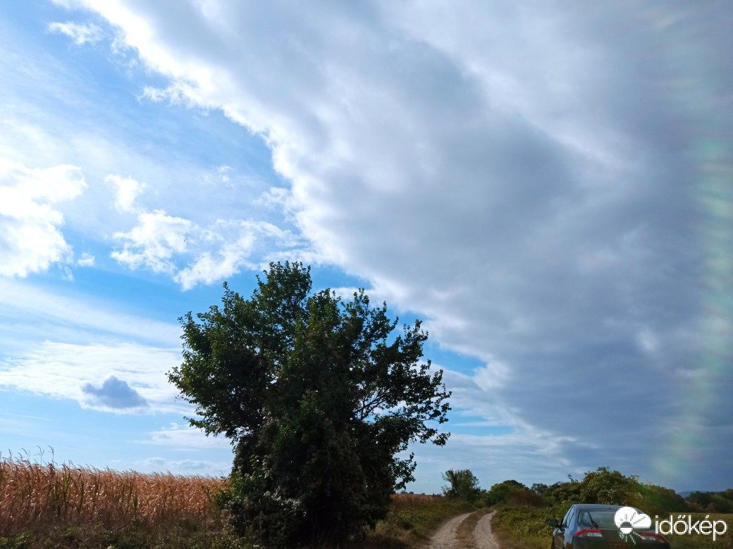 Észlelési fényképek