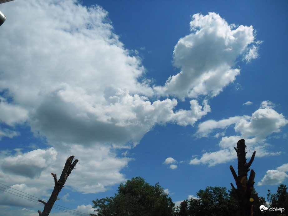 Észlelési fényképek