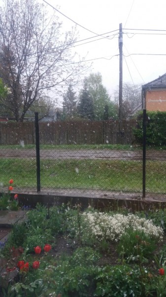 Észlelési fényképek