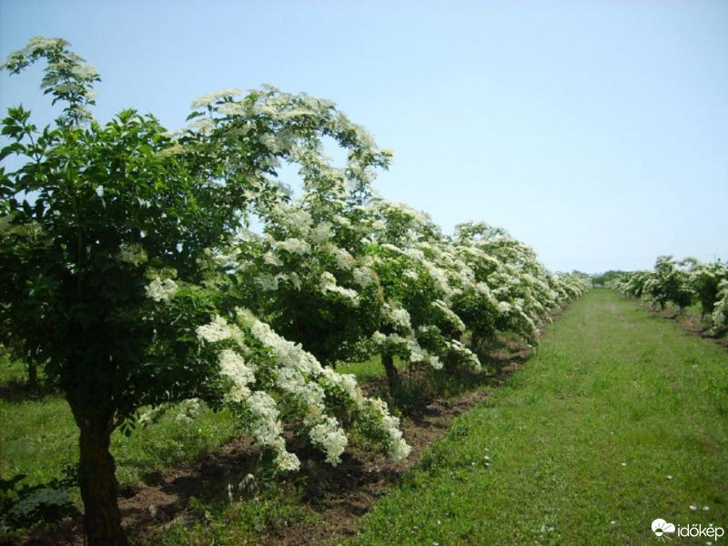Csengerújfalu
