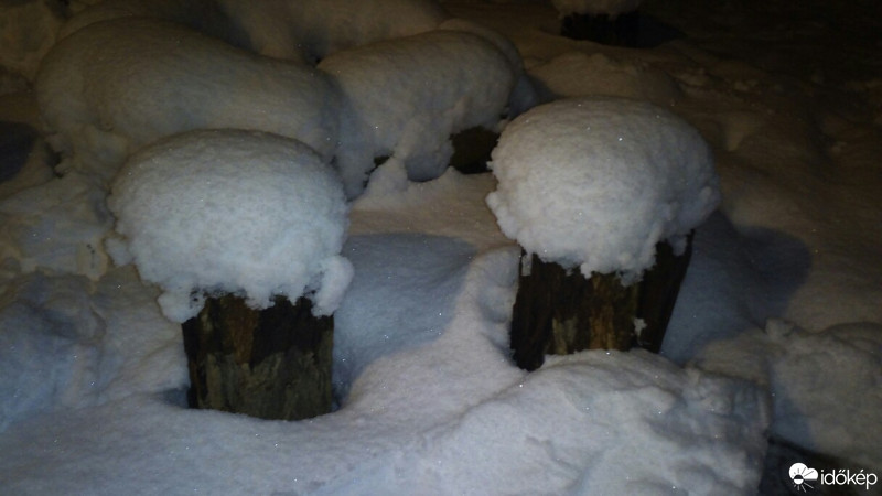 Észlelési fényképek