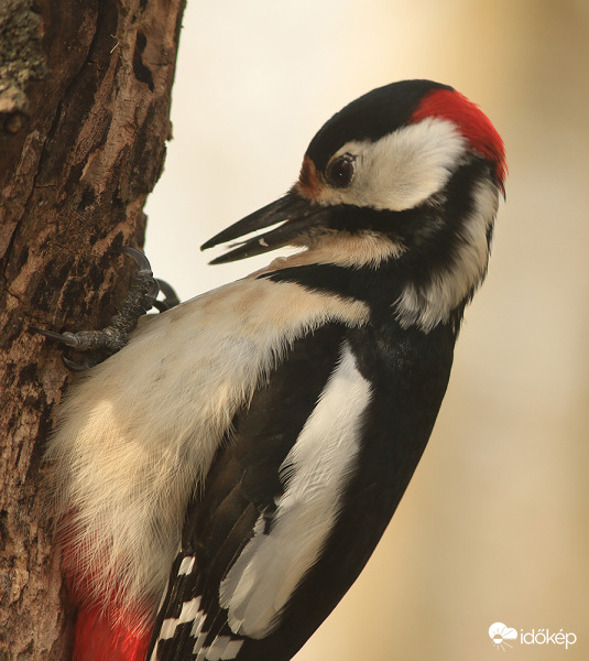 Megint leettem magam :)