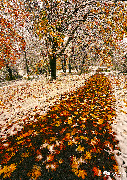  Az álom és a valóság néha összefolyik