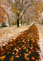  Az álom és a valóság néha összefolyik