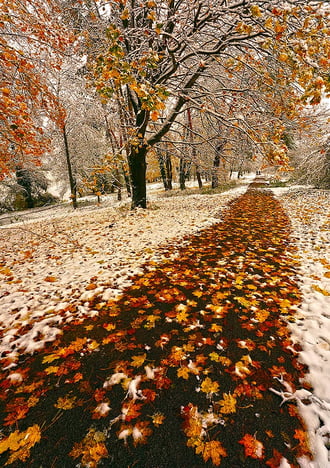  Az álom és a valóság néha összefolyik
