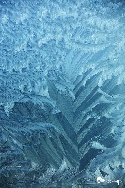 jégvirág