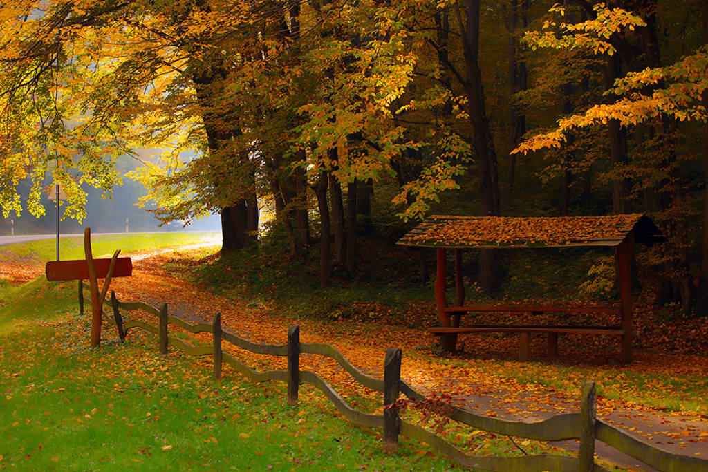 "mesél az erdő. Tegnap erre látták Jancsit és Juliskát ..."