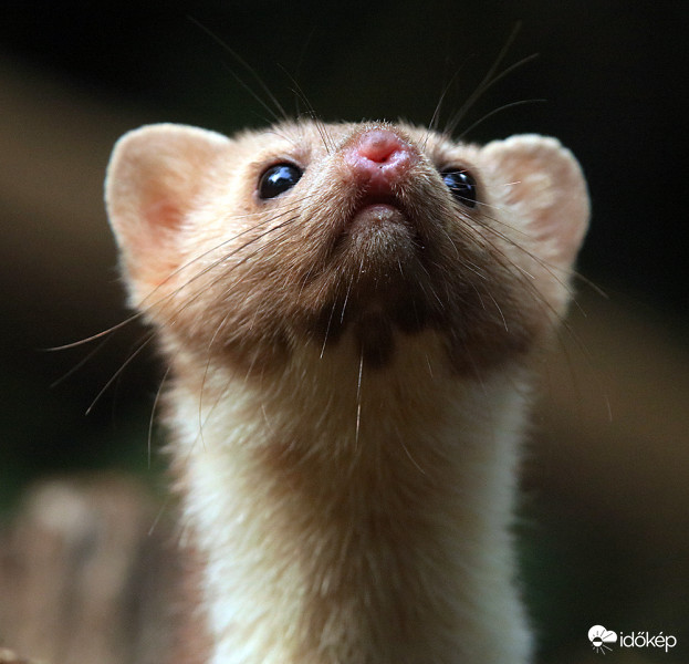 Ember szagot érzek :)