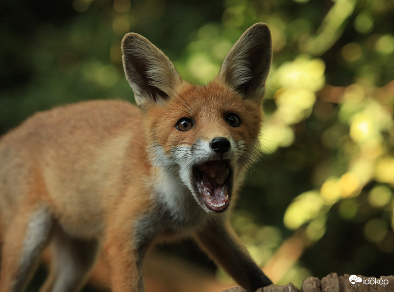 ÁÁÁÁÁÁÁÁÁÁÁÁÁÁ