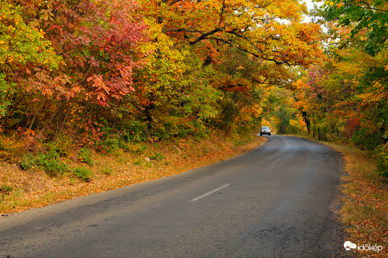 A Mecsek ahogy én szeretem.