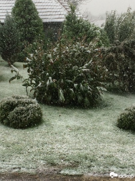 Észlelési fényképek