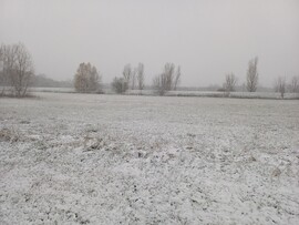 Balatonmáriafürdő