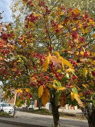 Budapest XII.ker - Krisztinaváros