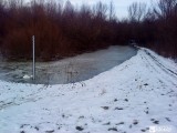 Tisza