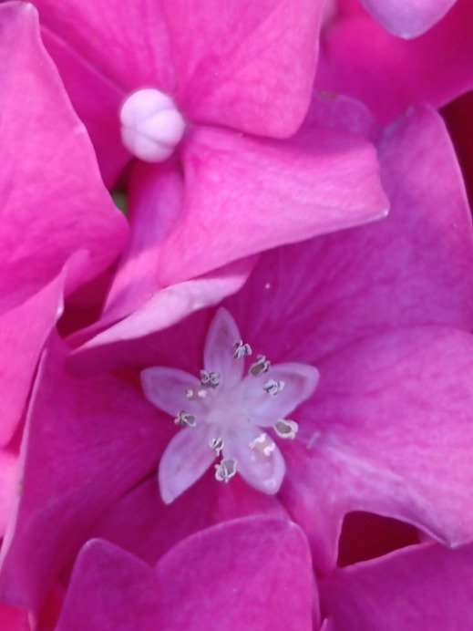 Budapest II.ker - Kurucles