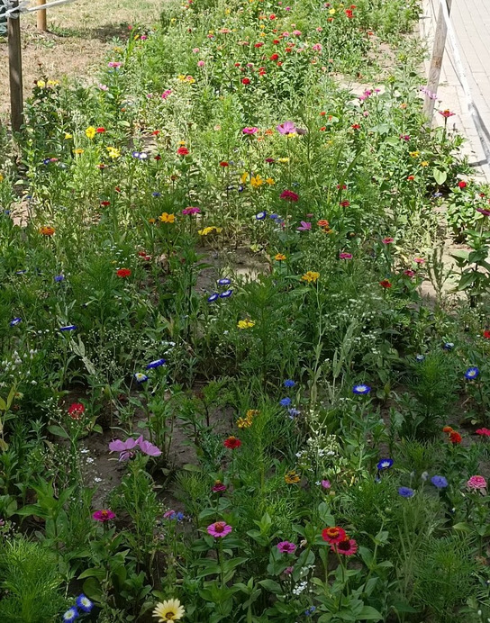 Budapest XII.ker - Városmajor