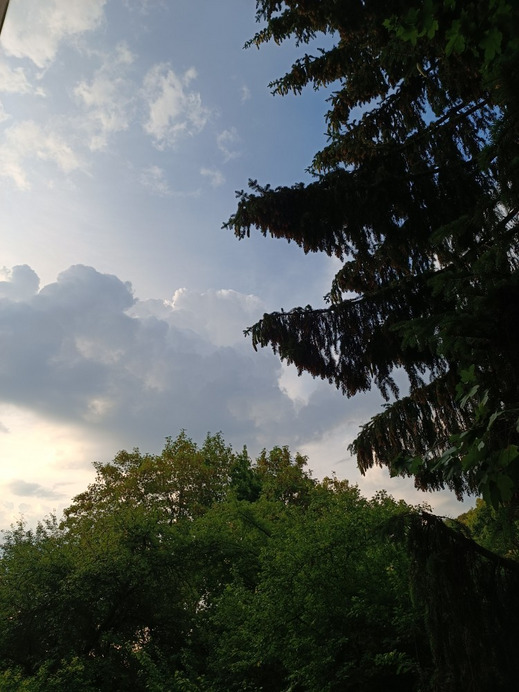 Budapest II.ker - Kurucles