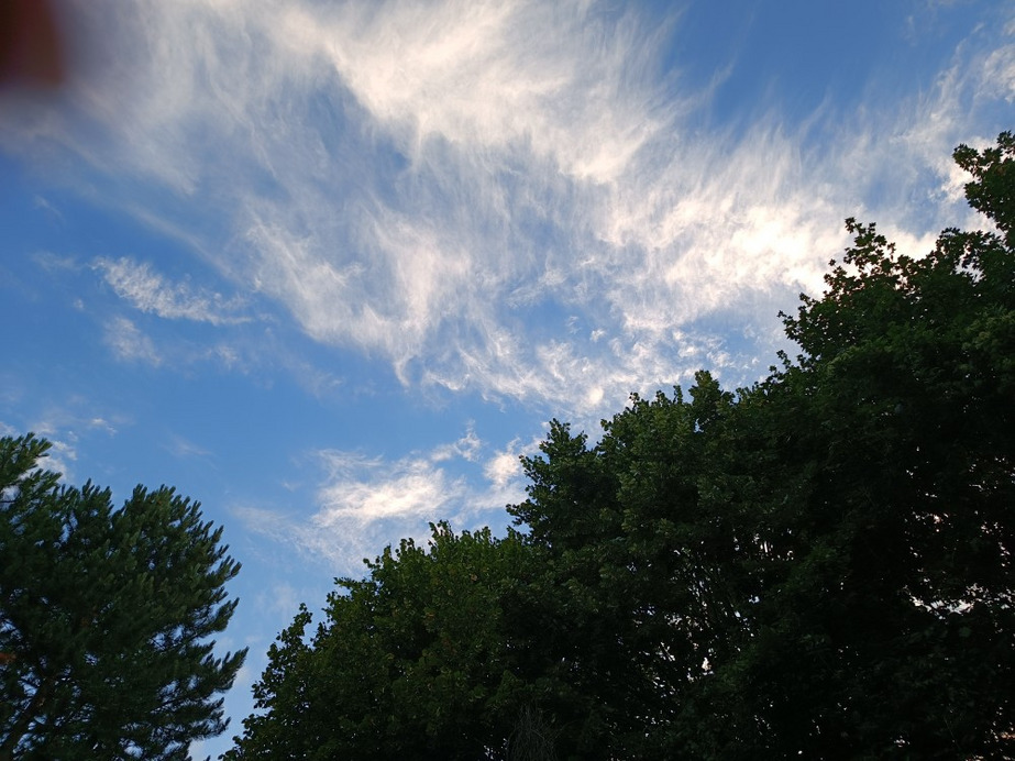 Budapest II.ker - Kurucles