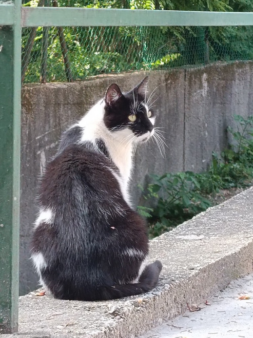 Budapest II.ker - Kurucles