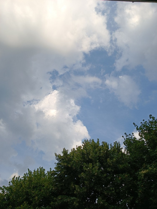 Budapest II.ker - Kurucles