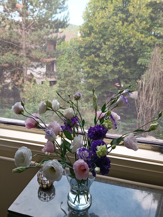 Budapest II.ker - Kurucles