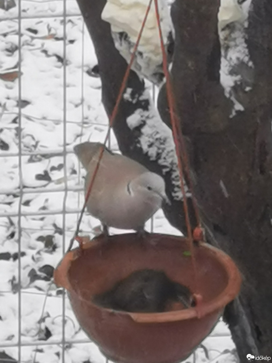 Budapest XII.ker - Zugliget