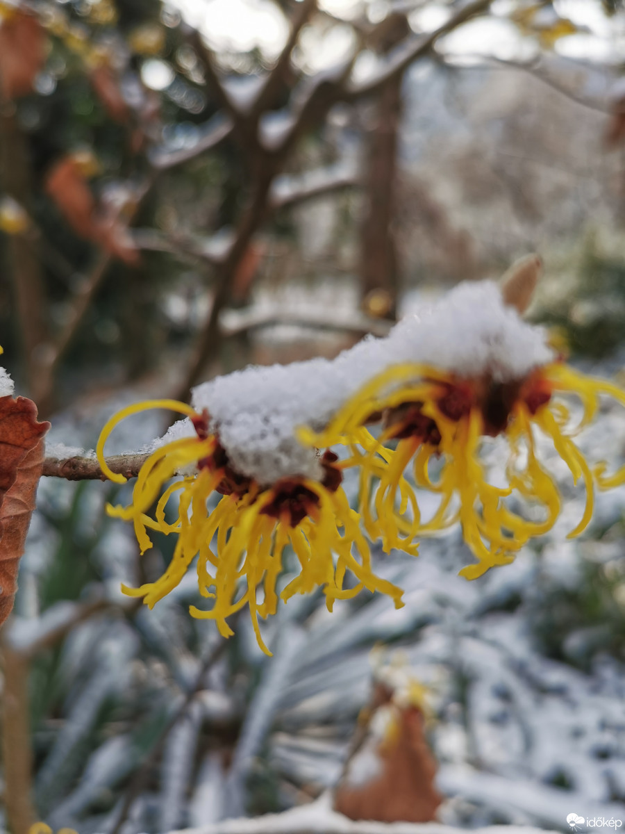 Budapest XII.ker - Zugliget