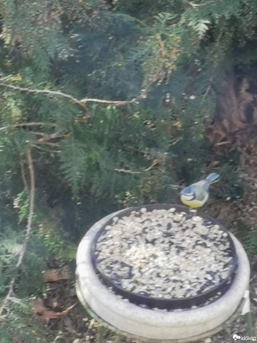 Budapest XII.ker - Zugliget