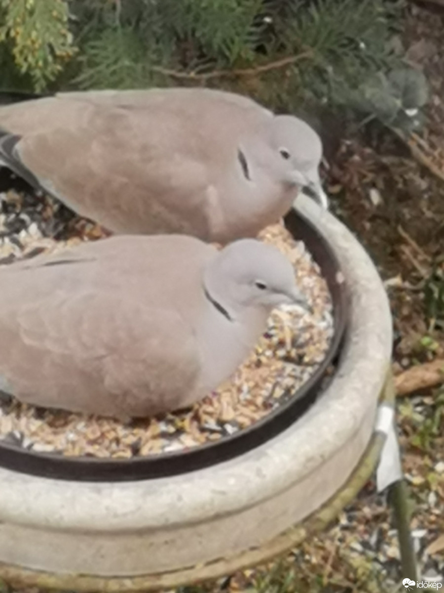 Budapest XII.ker - Zugliget