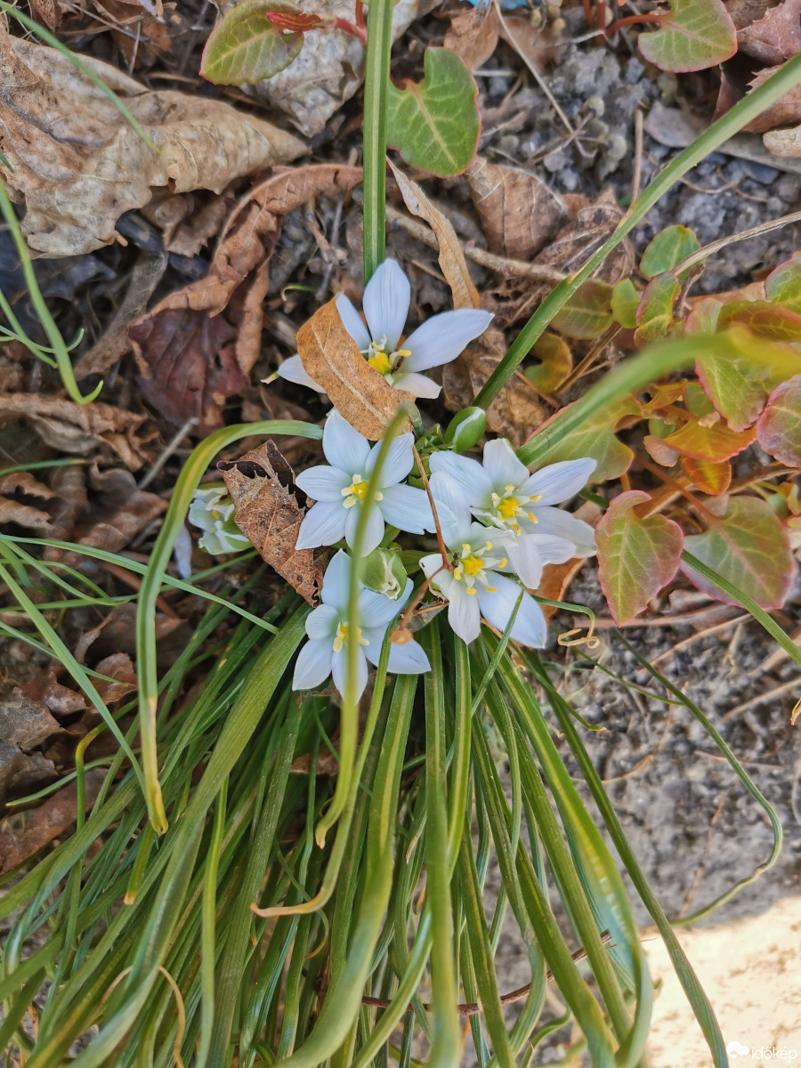 Budapest XII.ker - Zugliget