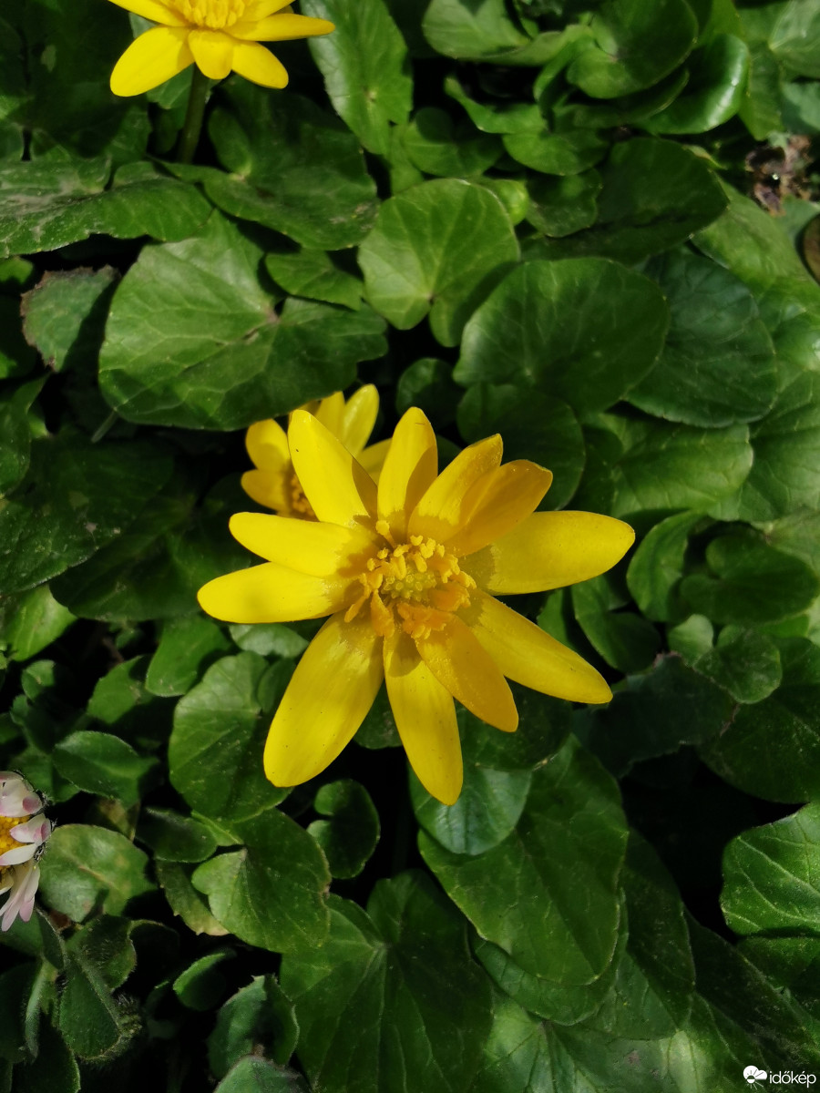 Budapest XII.ker - Zugliget