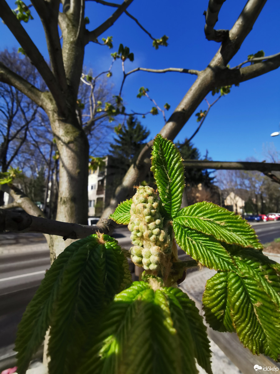 Budapest XII.ker - Zugliget