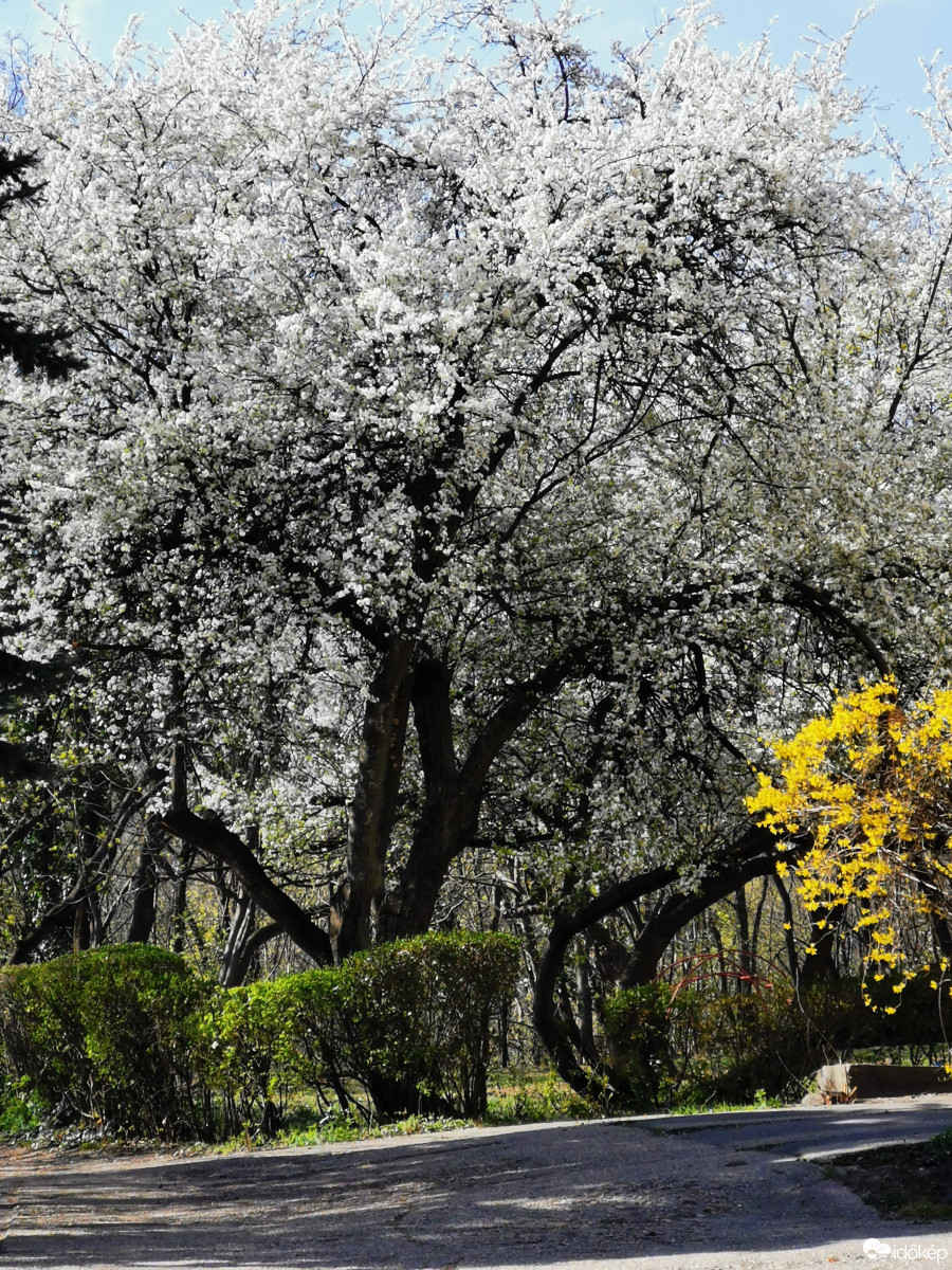 Budapest XII.ker - Zugliget